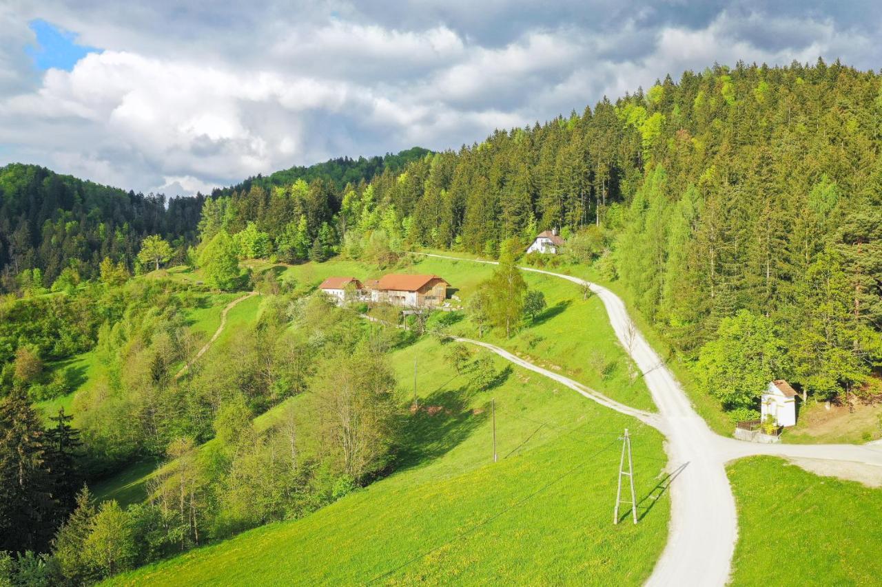 Villa Richterberg With Sauna & Hot Tub Slovenj Gradec Exterior photo